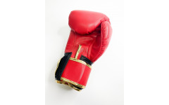 Боксерские перчатки Raja Snake red 16 oz