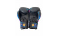 Боксёрские перчатки Raja Urban Predator 16 oz
