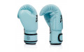 Боксерские перчатки Fairtex BGV20 light blue 14 oz