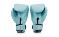 Боксерские перчатки Fairtex BGV20 light blue 14 oz