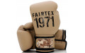 Боксерские перчатки Fairtex BGV25 F-DaY2 14 oz