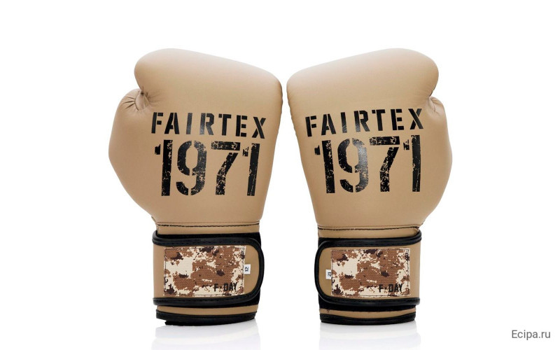 Боксерские перчатки Fairtex BGV25 F-DaY2 16 oz