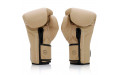 Боксерские перчатки Fairtex BGV25 F-DaY2 16 oz