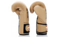 Боксерские перчатки Fairtex BGV25 F-DaY2 16 oz
