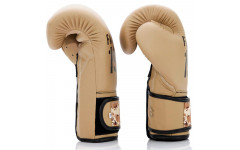 Боксерские перчатки Fairtex BGV25 F-DaY2 16 oz Боксерские перчатки Fairtex BGV25 F-DaY2 16 oz